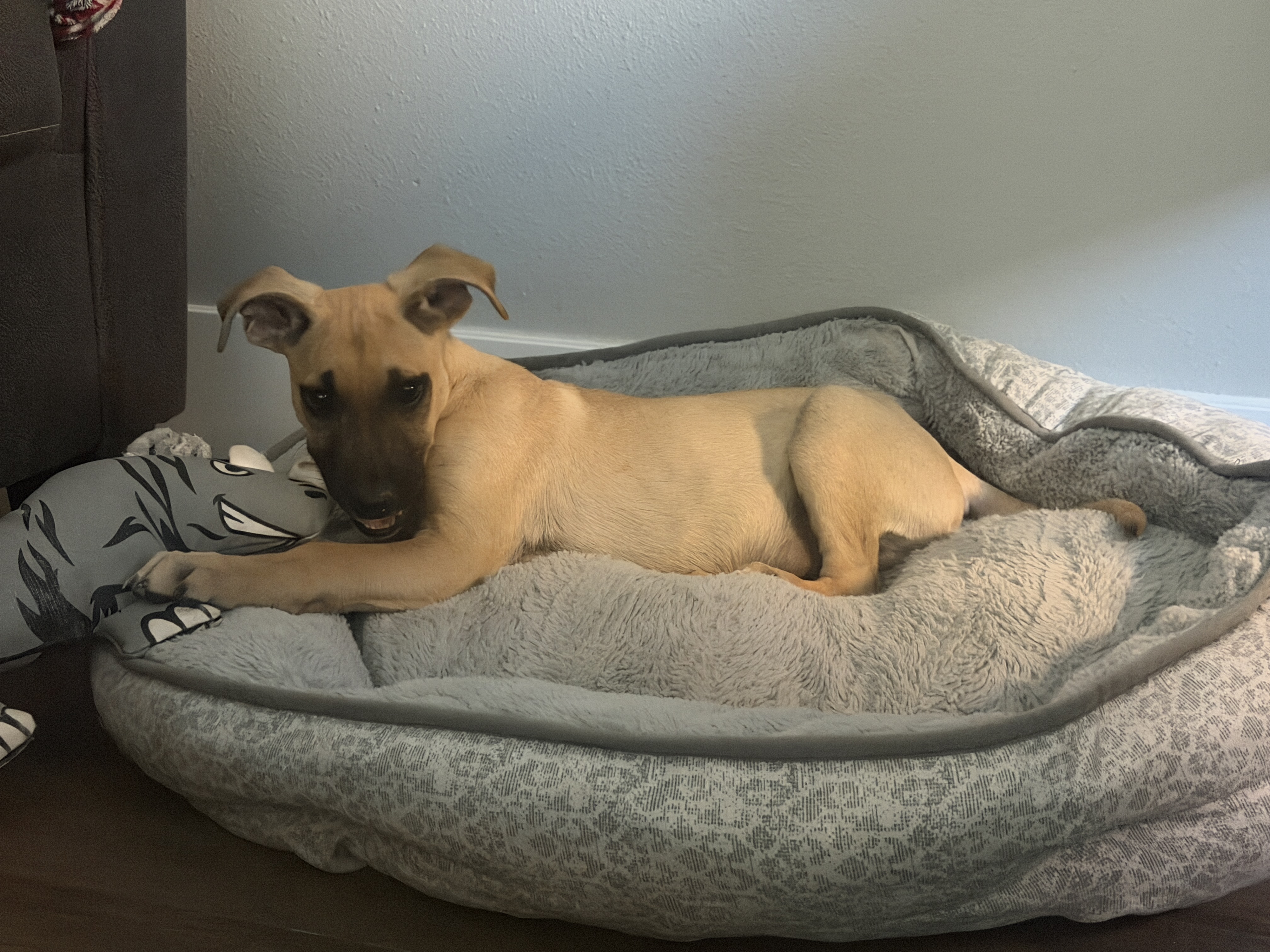 Roscoe